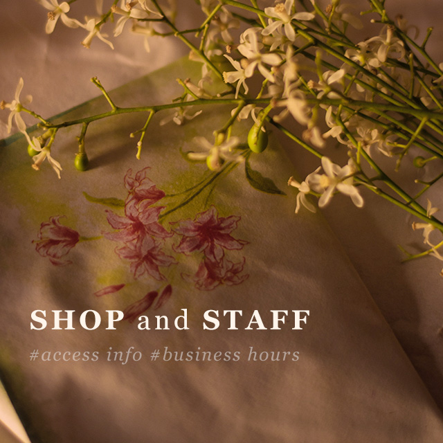 SHOP ACCESS