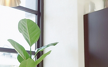 エコノワさんの太陽と大地のヘナで施術してます!