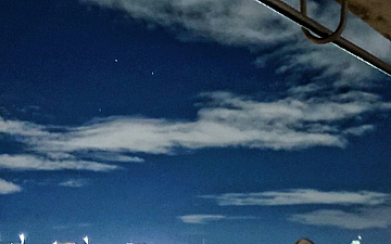 今日は龍の日らしいです